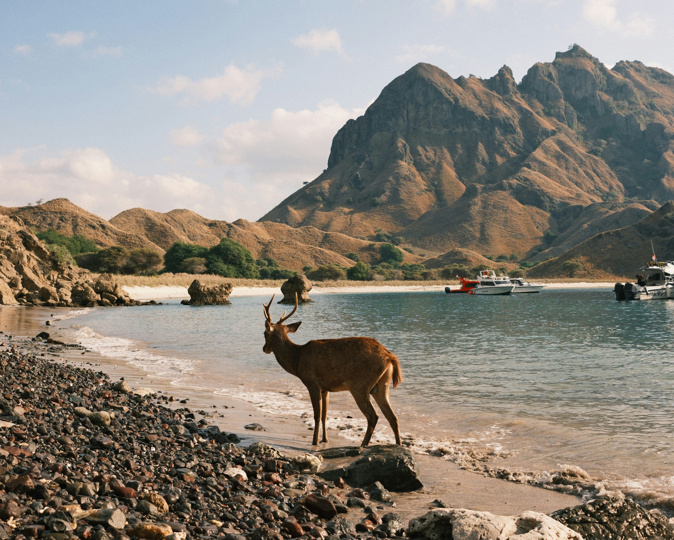 Home dhiemas afif febriyan n2mgv35z7ik unsplash