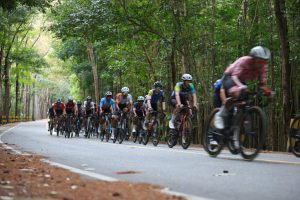 whatsapp image 2025 09 16 at 7.32.53 am